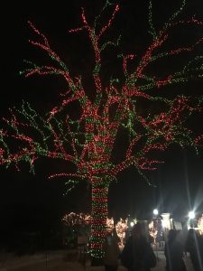 Celebrating the Holidays with Max & Leo's and Chicago Trolley