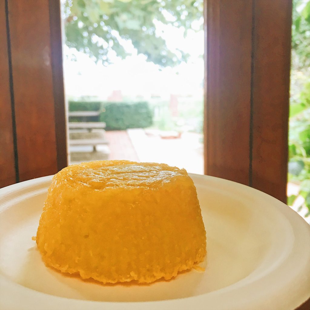 Visit Brazil in the Garden at Chicago Botanical Garden