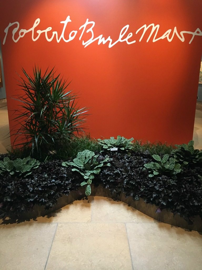 Visit Brazil in the Garden at Chicago Botanical Garden