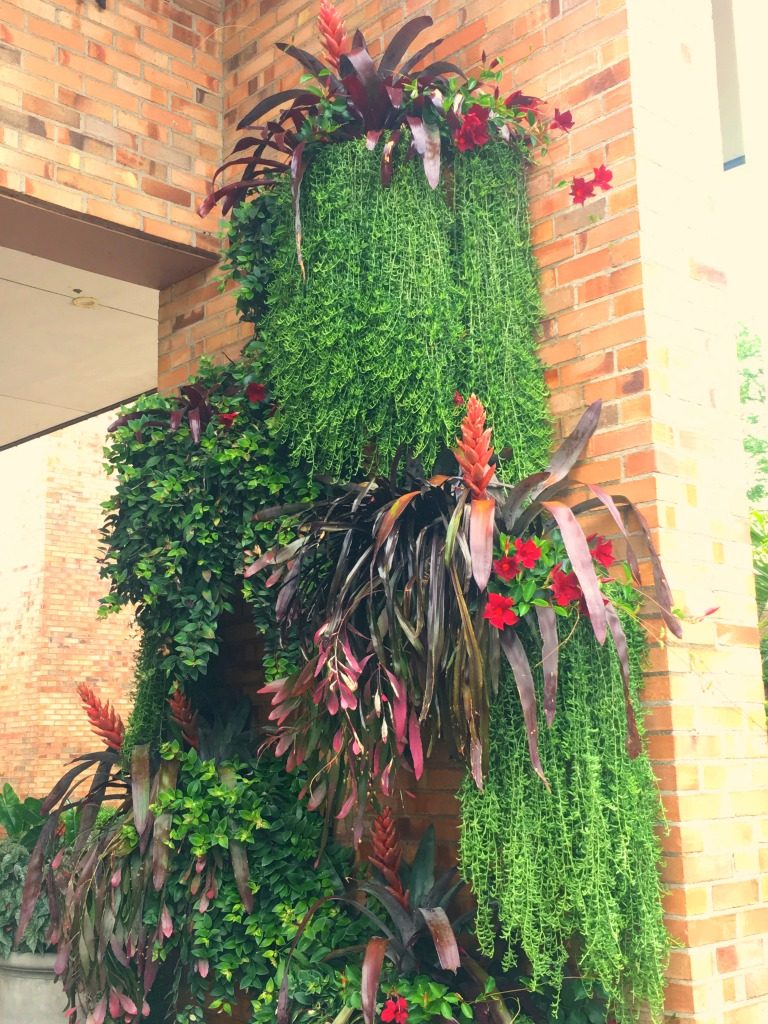 Visit Brazil in the Garden at Chicago Botanical Garden