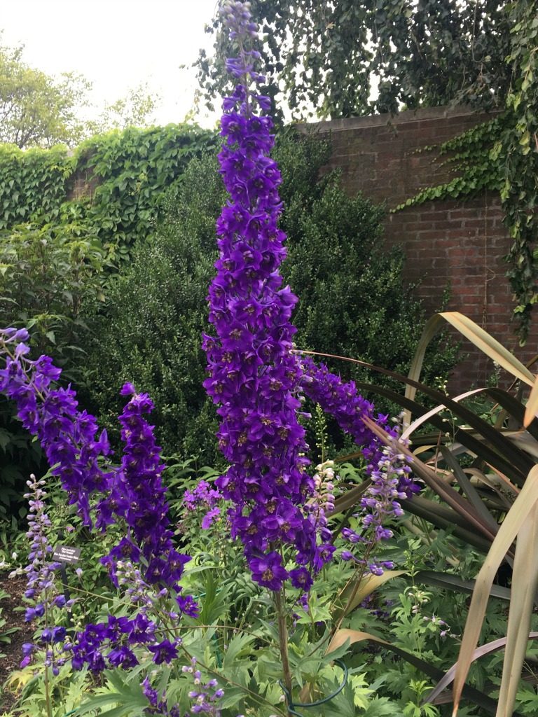 Visit Brazil in the Garden at Chicago Botanical Garden